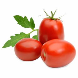 Tomato / Hybrid