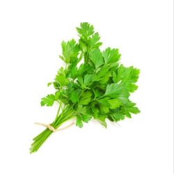Coriander Leaves