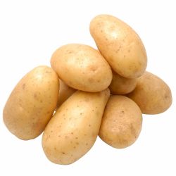 Potato