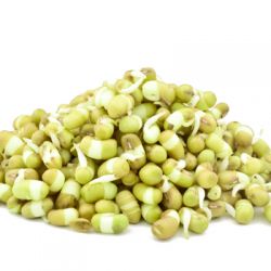 Sprouts Moong Green