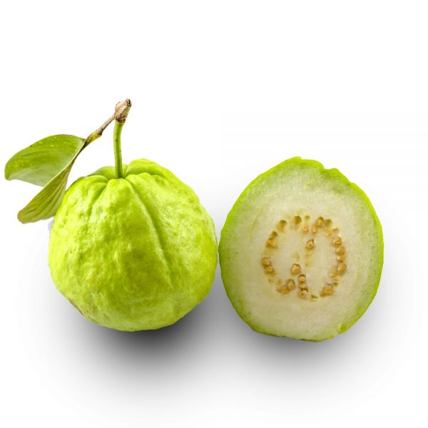 Guava