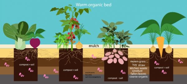 Vermicompost 25kg