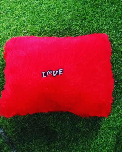 Far pillow 