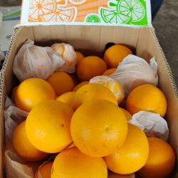 Yogesh fruit center 