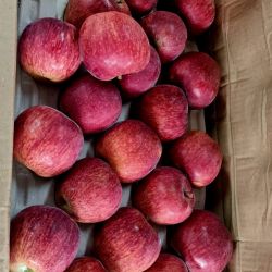 Yogesh fruit center 