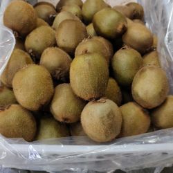 All fruit 