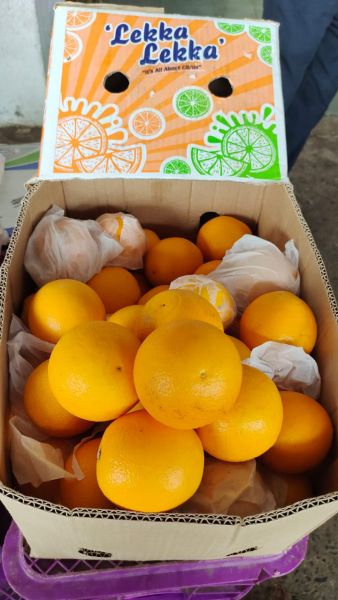 Yogesh fruit center 