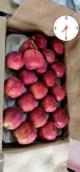Yogesh fruit center 