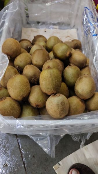 All fruit 