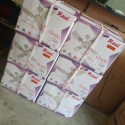 Ceiling fans