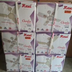 Ceiling fans