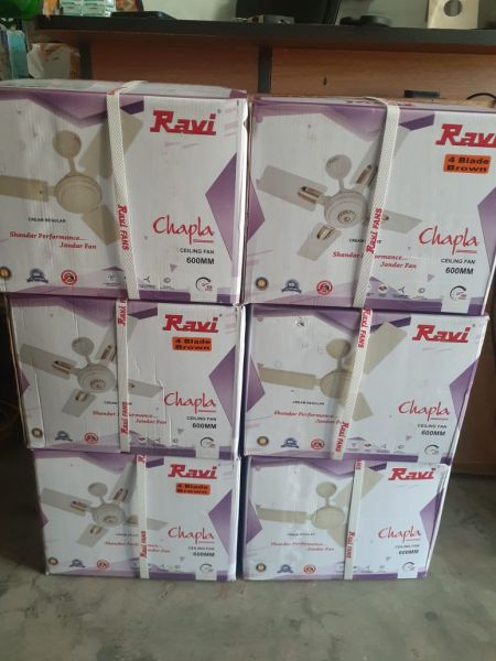 Ceiling fans