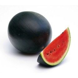 Water Melon (તરબૂચ)