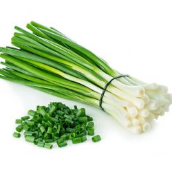 Spring Onion (લીલી ડુંગળી)