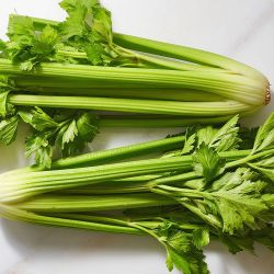 celery (સેલરી)