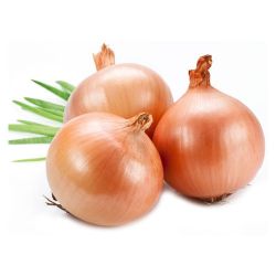 Onion (સુકી ડુંગળી)