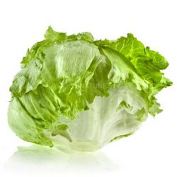 Lettuce(