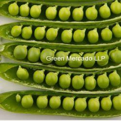 Green Peas ( વટાણા)