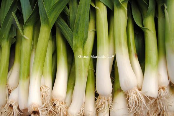 Green garlic (લીલુ લસણ)