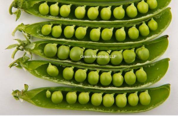 Green Peas ( વટાણા)