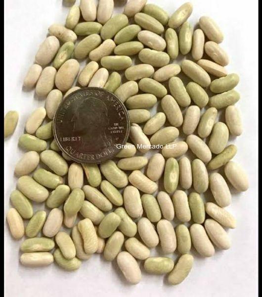 Green Bean Seed (ચોળી ના બી)