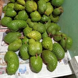 Mullu Seetha Fruit