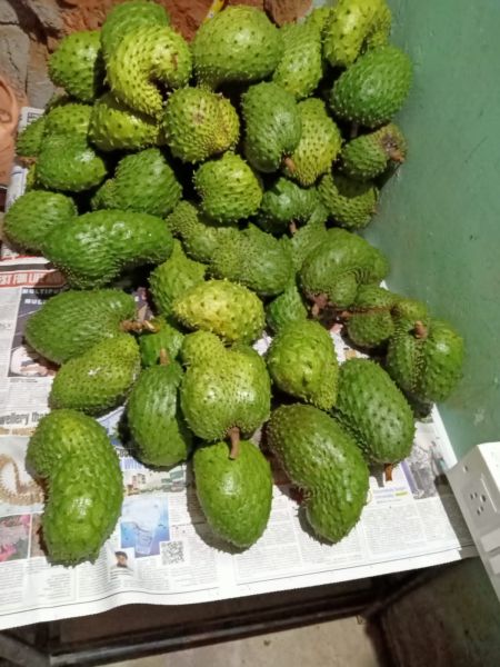 Mullu Seetha Fruit