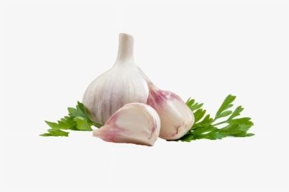Garlic (Lasan, Lahsun)