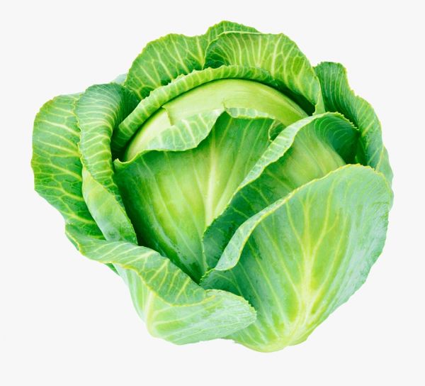 Cabbage (Patta Gobi)