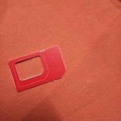 Sim Extant Case