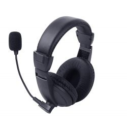 Lapcare Stereo Headset with MIC LWS-040