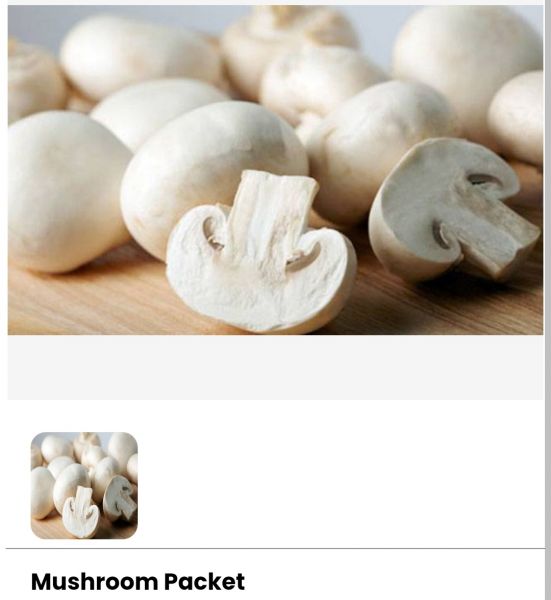 Mashroom 