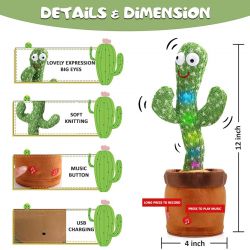 Cactus For Kids