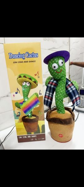 Cactus For Kids