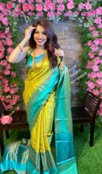 Different Designer Rich Pallu And Jacquard Work On All Over The Soft Silk Saree