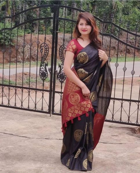 Traditional Rich Pallu And Jacquard Work On All Over The Soft Silk Saree