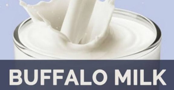 Bafeli milk