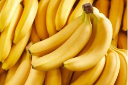 Regular Banana size 5.8