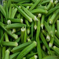 Desi bhindi 