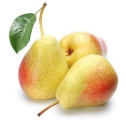 Beauty pear