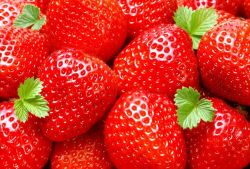 Strawberry 