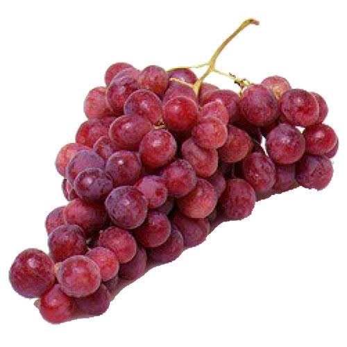 Red Grape important 