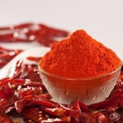 Gaur Red Cilli Powder 100 Gms