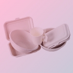 Disposable Tableware