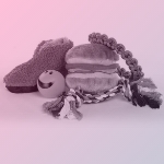 Pet Supplies & Accessorie...
