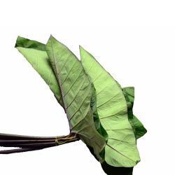 Arbi leaf