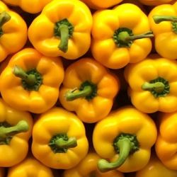 Organic Yellow Capsicum (bell pepper)