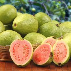 Organic Red Ripe Guava 