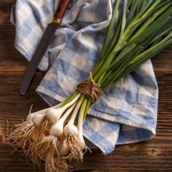 Organic Green Garlic (spring garlic)