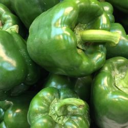 Capsicum (green bell peppers)